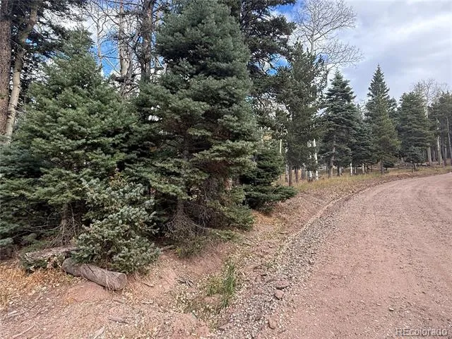 2663 Petito Drive Fort Garland, CO 81133