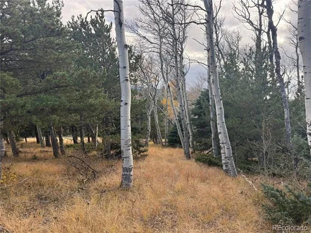 2663 Petito Drive Fort Garland, CO 81133