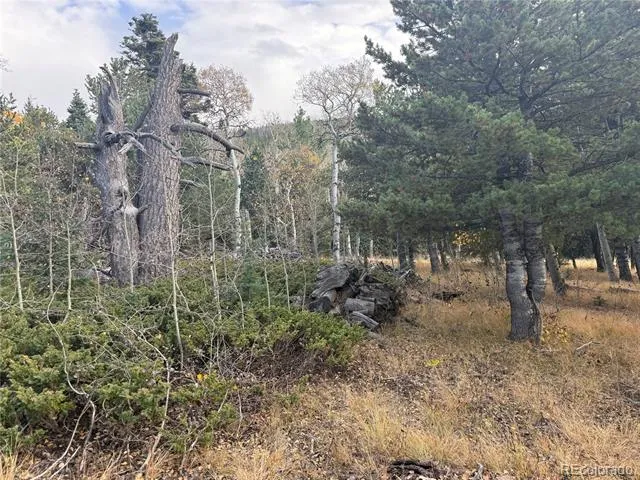 2663 Petito Drive Fort Garland, CO 81133
