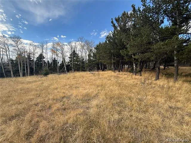 2663 Petito Drive Fort Garland, CO 81133