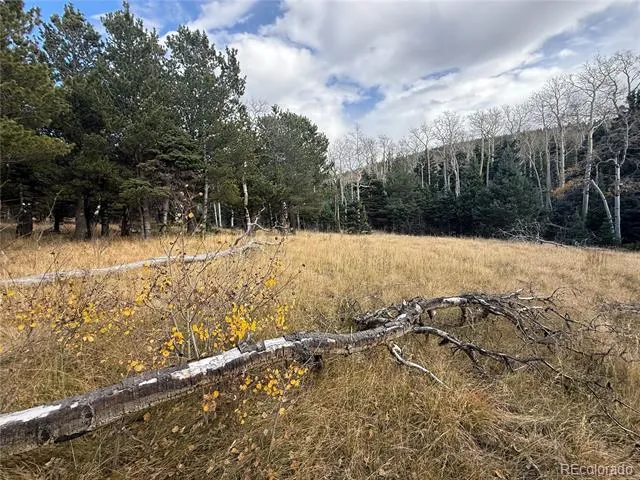 2663 Petito Drive Fort Garland, CO 81133