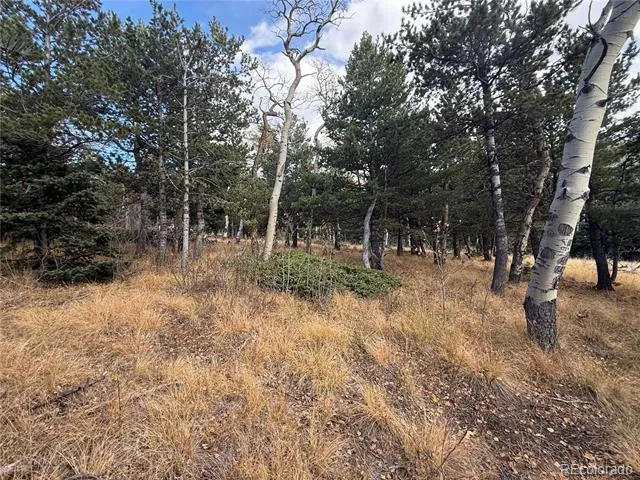 2663 Petito Drive Fort Garland, CO 81133