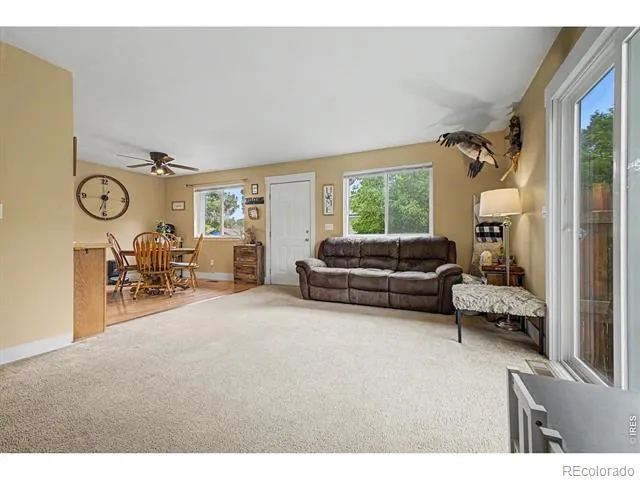418 Lakeview Drive Severance, CO 80550