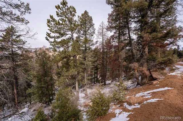 3388-3410 Mountain Estates Road Florissant, CO 80816