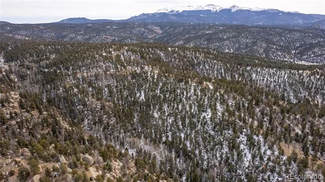 3388-3410 Mountain Estates Road Florissant, CO 80816