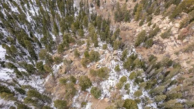 3388-3410 Mountain Estates Road Florissant, CO 80816