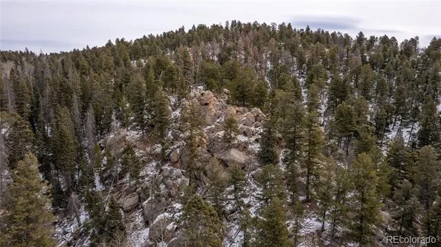 3388-3410 Mountain Estates Road Florissant, CO 80816