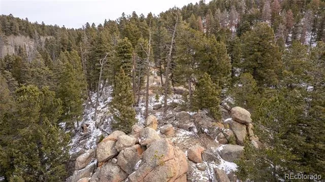 3388-3410 Mountain Estates Road Florissant, CO 80816