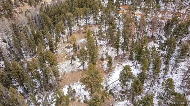 3388-3410 Mountain Estates Road Florissant, CO 80816