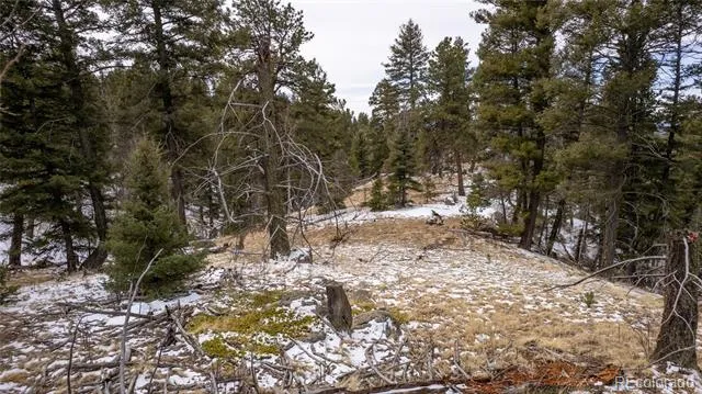 3388-3410 Mountain Estates Road Florissant, CO 80816