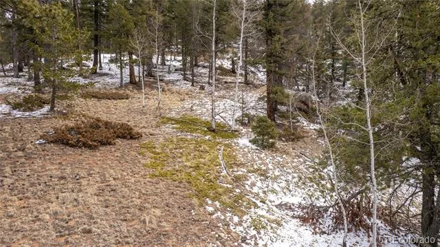 3388-3410 Mountain Estates Road Florissant, CO 80816