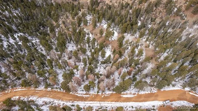 3388-3410 Mountain Estates Road Florissant, CO 80816