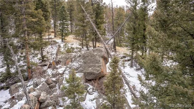 3388-3410 Mountain Estates Road Florissant, CO 80816