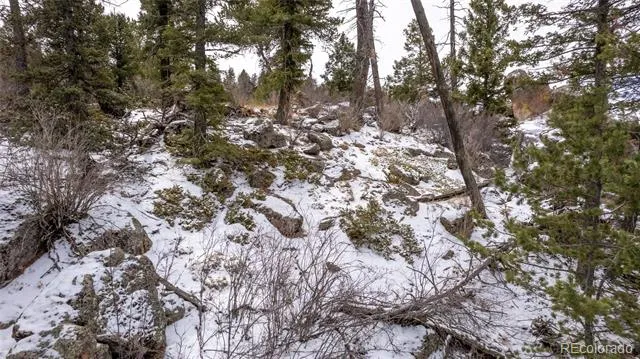 3388-3410 Mountain Estates Road Florissant, CO 80816