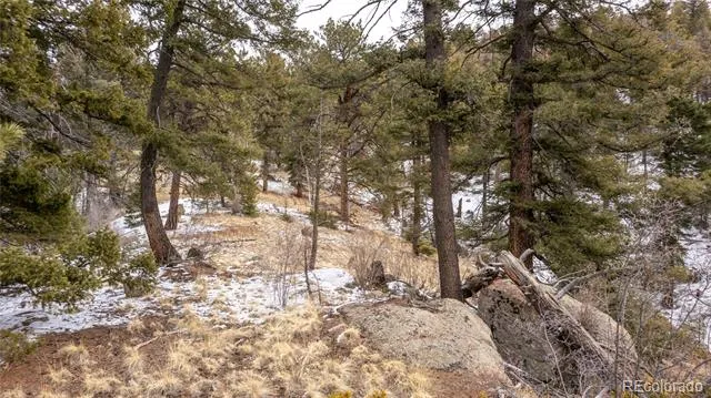 3388-3410 Mountain Estates Road Florissant, CO 80816