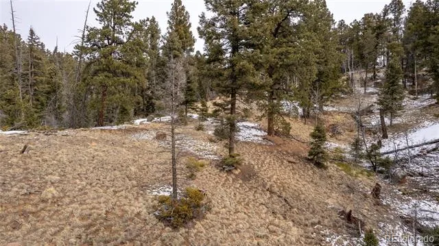3388-3410 Mountain Estates Road Florissant, CO 80816