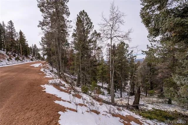 3388-3410 Mountain Estates Road Florissant, CO 80816