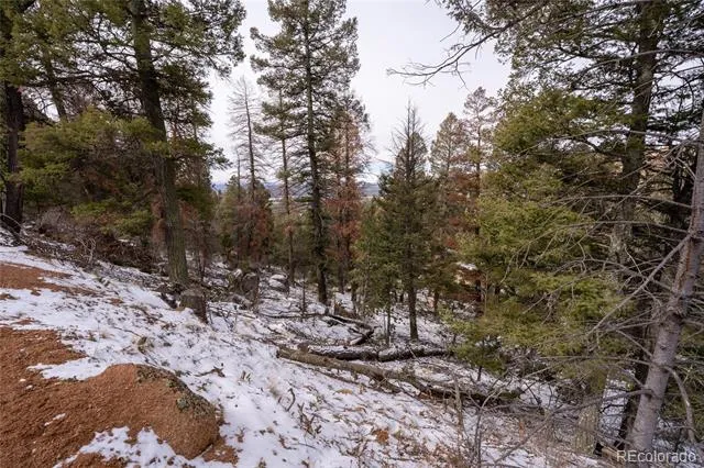 3388-3410 Mountain Estates Road Florissant, CO 80816