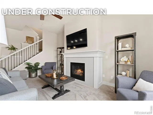6224 Vernazza Way #3 Windsor, CO 80550