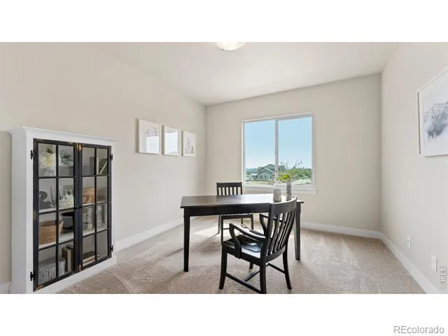 6224 Vernazza Way #3 Windsor, CO 80550