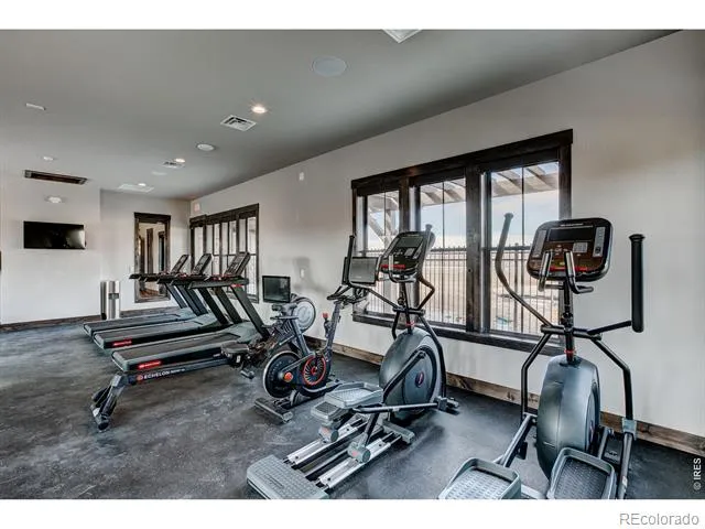 6224 Vernazza Way #3 Windsor, CO 80550