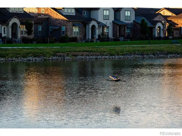 6224 Vernazza Way #3 Windsor, CO 80550