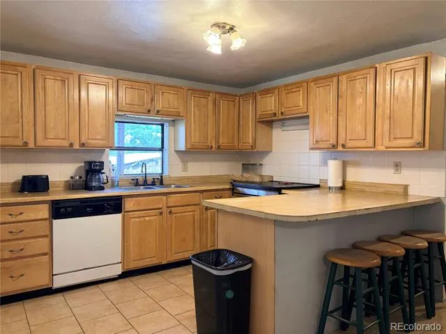 506 E 9th Street Leadville, CO 80461