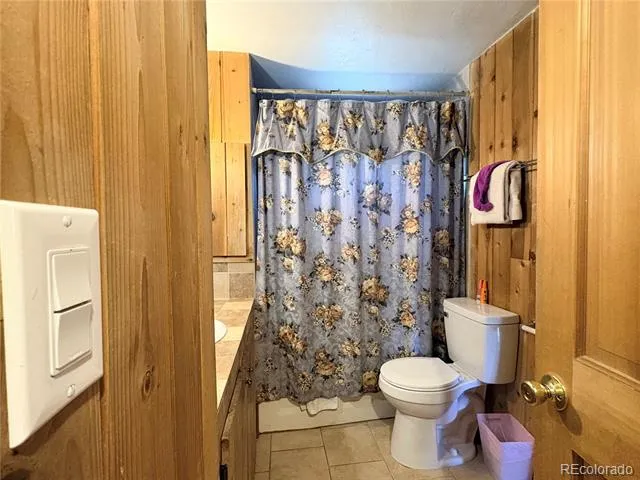 506 E 9th Street Leadville, CO 80461