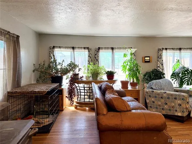 506 E 9th Street Leadville, CO 80461