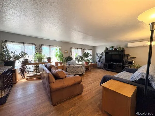 506 E 9th Street Leadville, CO 80461