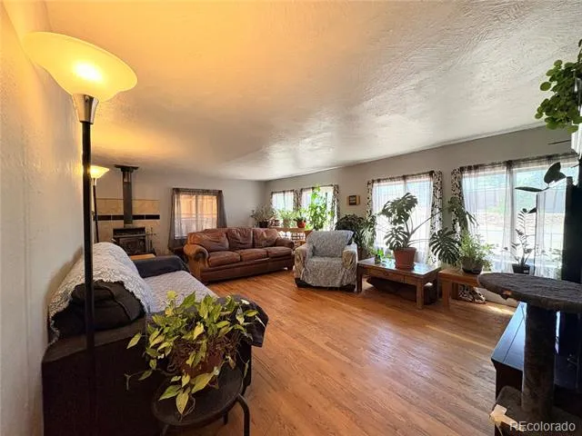 506 E 9th Street Leadville, CO 80461