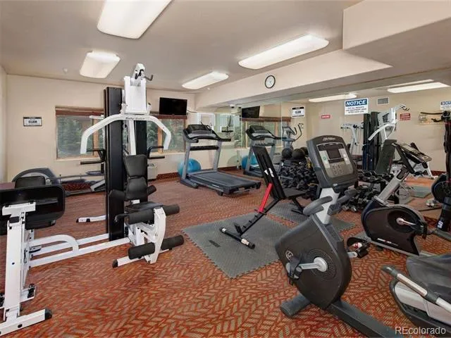 23110 US Highway 6 #5062 Dillon, CO 80435