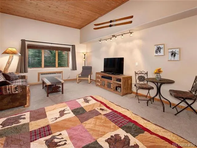 23110 US Highway 6 #5062 Dillon, CO 80435
