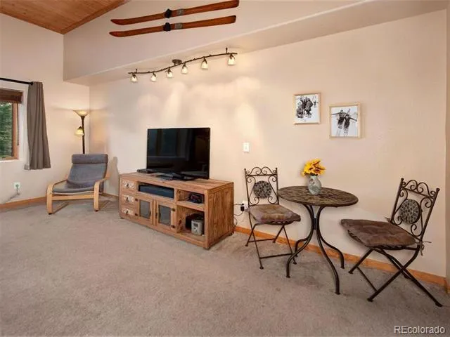 23110 US Highway 6 #5062 Dillon, CO 80435
