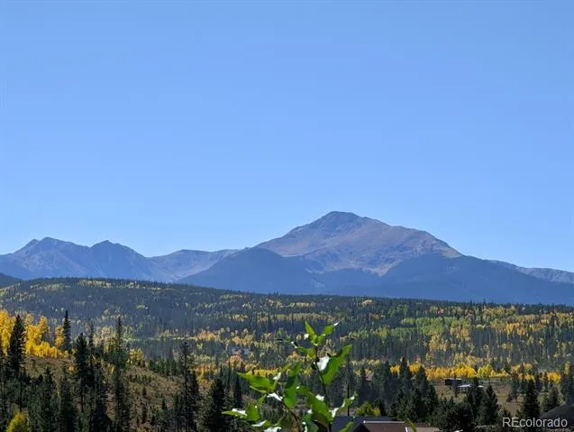 67 Cozens Pointe Circle #201 Fraser, CO 80442