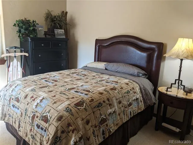 67 Cozens Pointe Circle #201 Fraser, CO 80442