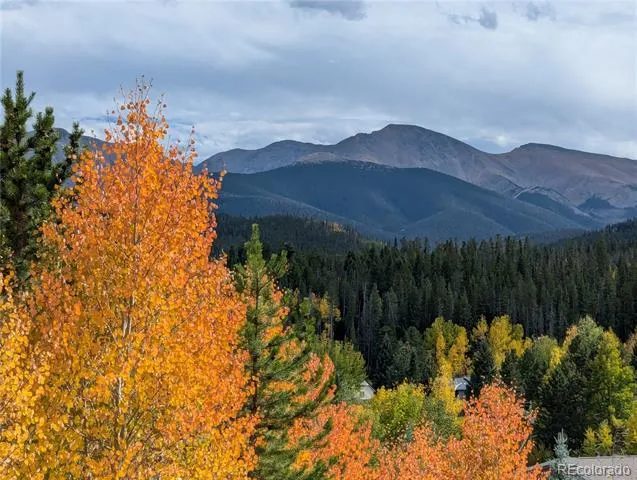 67 Cozens Pointe Circle #201 Fraser, CO 80442
