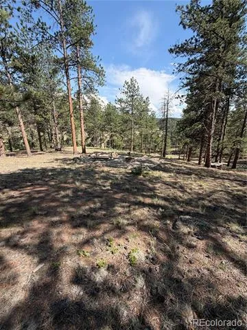 39 Rabbil Creek Trail