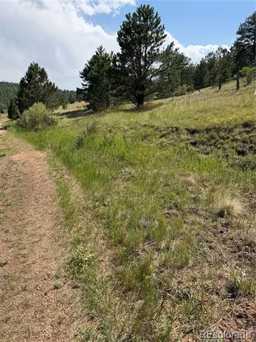 39 Rabbil Creek Trail Florissant, CO 80816