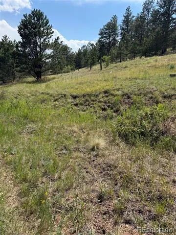 39 Rabbil Creek Trail Florissant, CO 80816