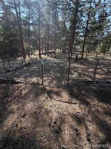 39 Rabbil Creek Trail Florissant, CO 80816