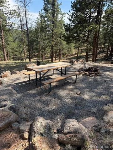 39 Rabbil Creek Trail Florissant, CO 80816