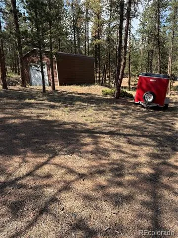 39 Rabbil Creek Trail Florissant, CO 80816