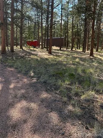 39 Rabbil Creek Trail Florissant, CO 80816