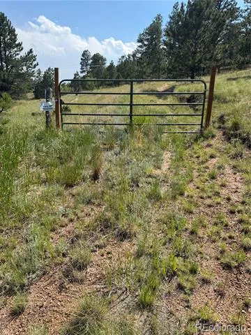 39 Rabbil Creek Trail Florissant, CO 80816