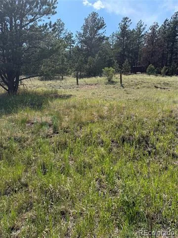 39 Rabbil Creek Trail Florissant, CO 80816
