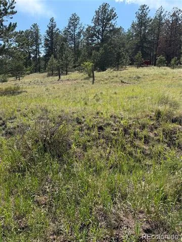 39 Rabbil Creek Trail Florissant, CO 80816