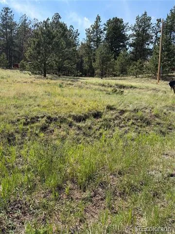 39 Rabbil Creek Trail Florissant, CO 80816