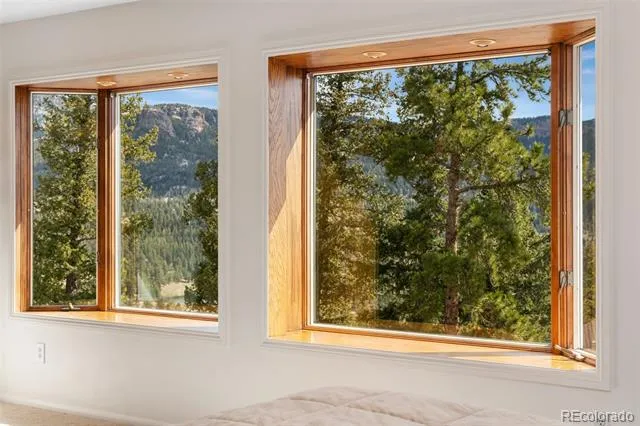 89 Jones Creek Lane Pine, CO 80470