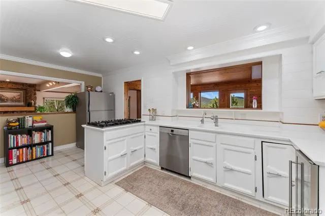 89 Jones Creek Lane Pine, CO 80470